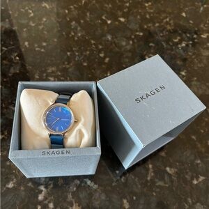 Skagen Blue and Silver Watch